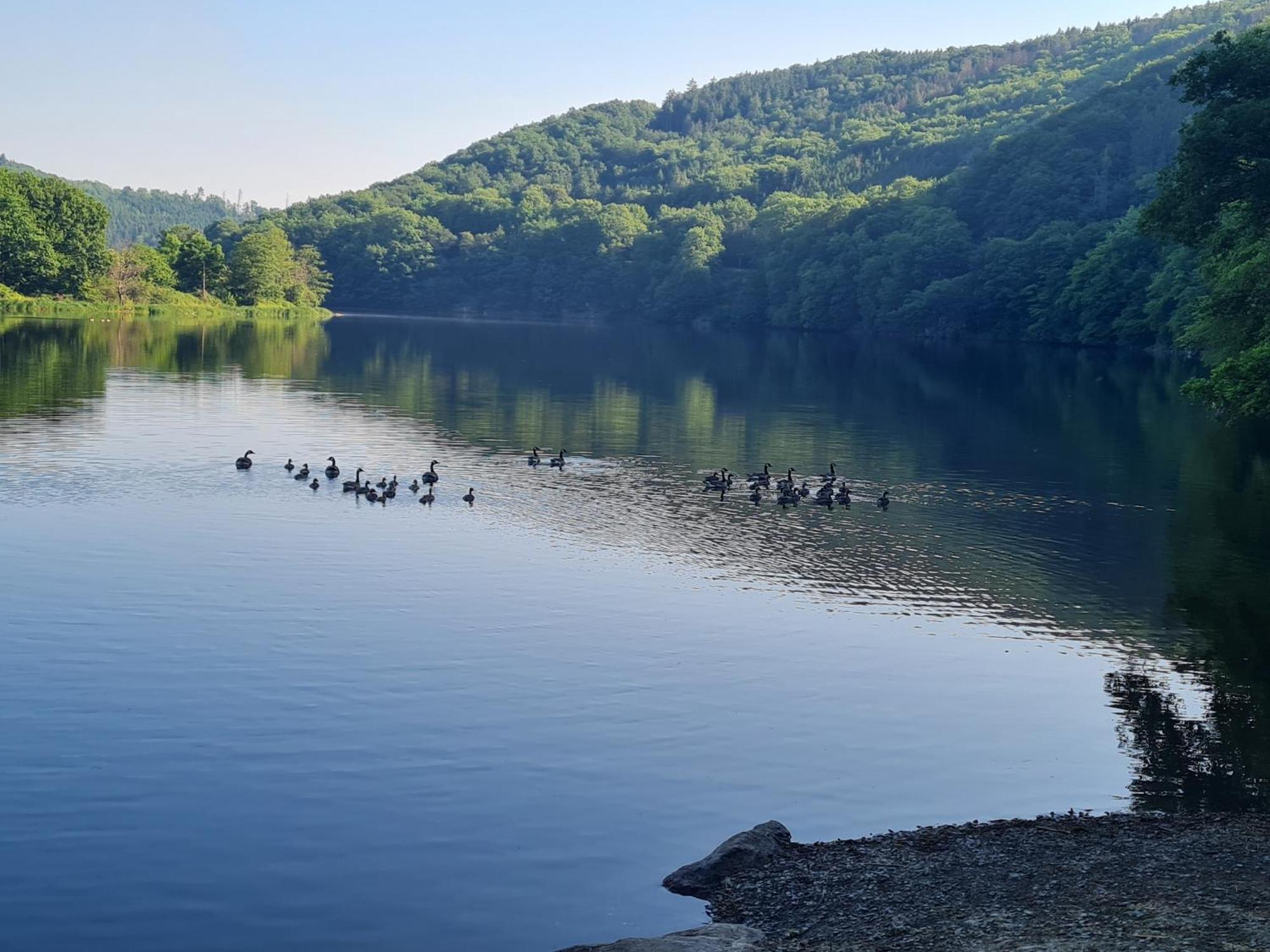 Ferienwohnung Am Rursee -Wohnung 2 Зіммерат Номер фото