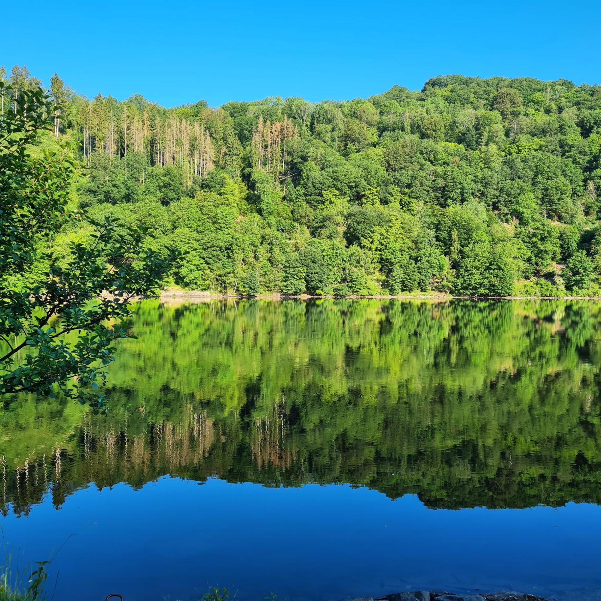 Ferienwohnung Am Rursee -Wohnung 2 Зіммерат Номер фото