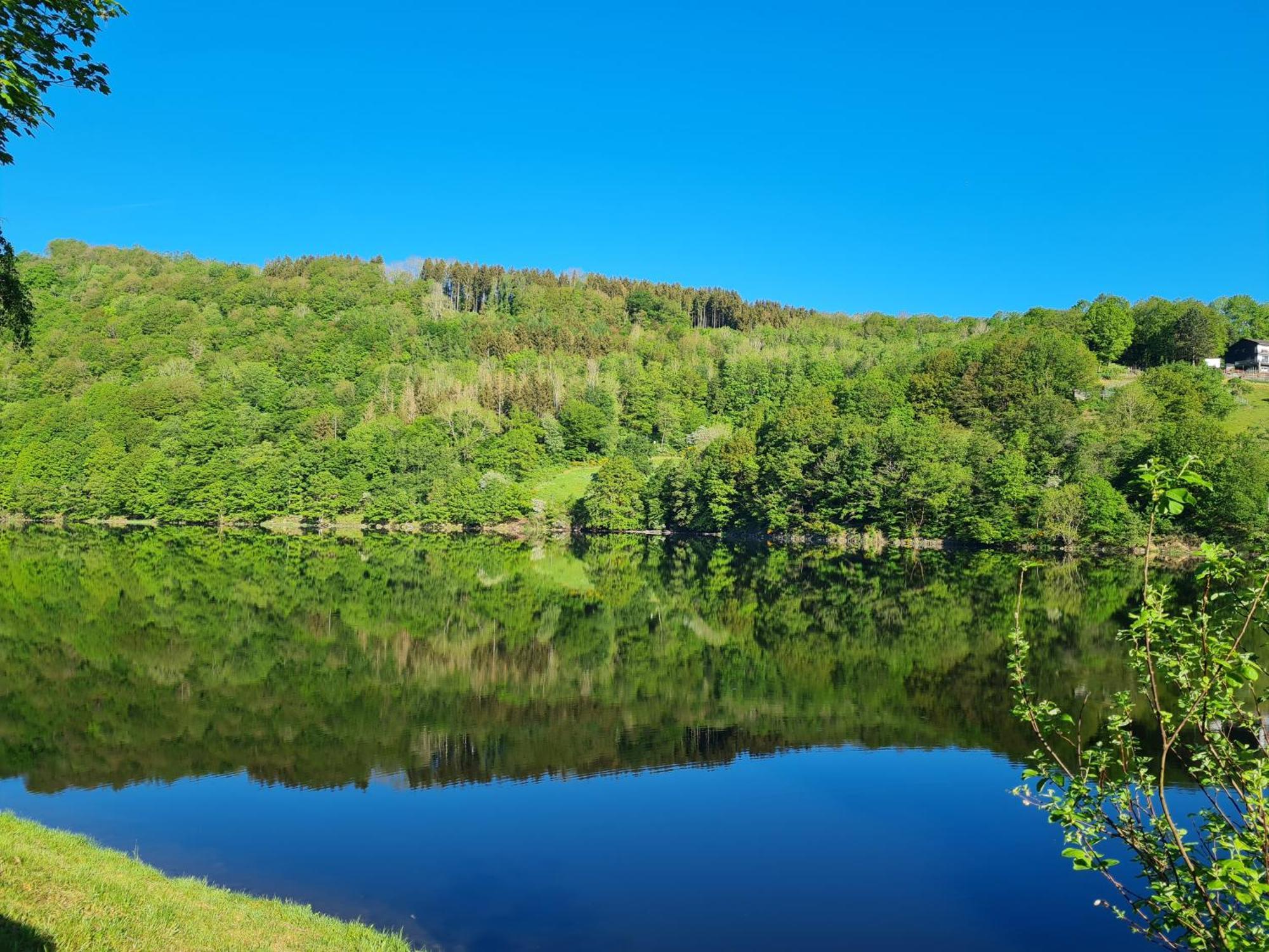Ferienwohnung Am Rursee -Wohnung 2 Зіммерат Екстер'єр фото